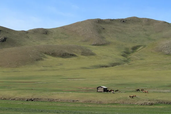 Mongoliska landskap — Stockfoto