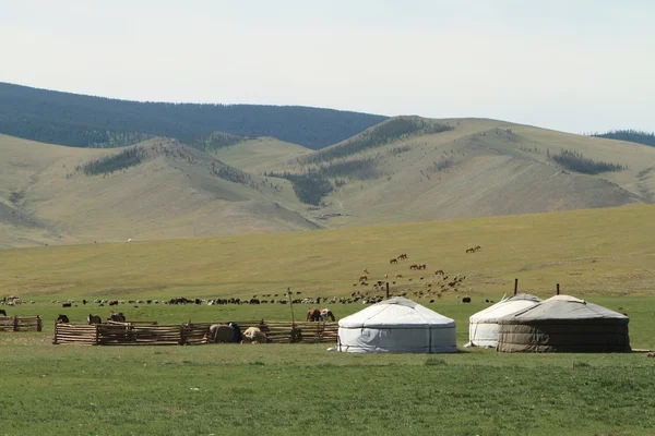 Jurtendörfer in der Mongolei — Stockfoto