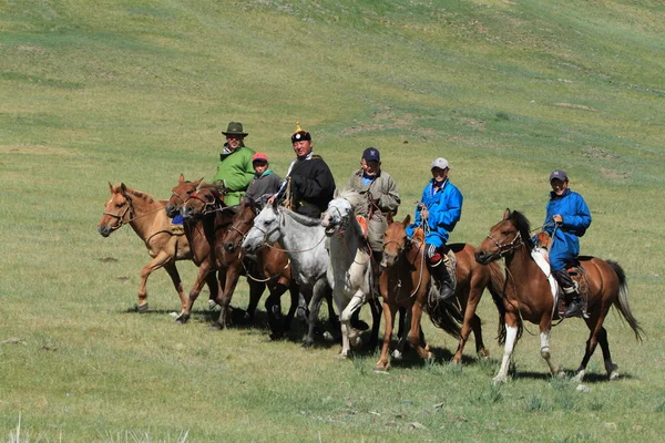 モンゴルの馬の背部ライダー — ストック写真
