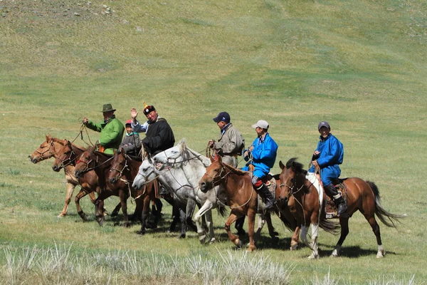 Mongoolse ruiters terug — Stockfoto