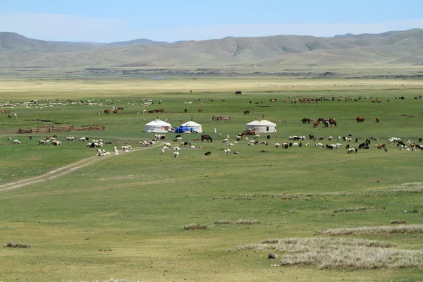 Jurtendorf Mongolei — Stockfoto