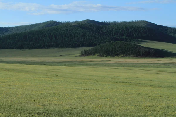 Монгольские пейзажи Орхонской долины — стоковое фото