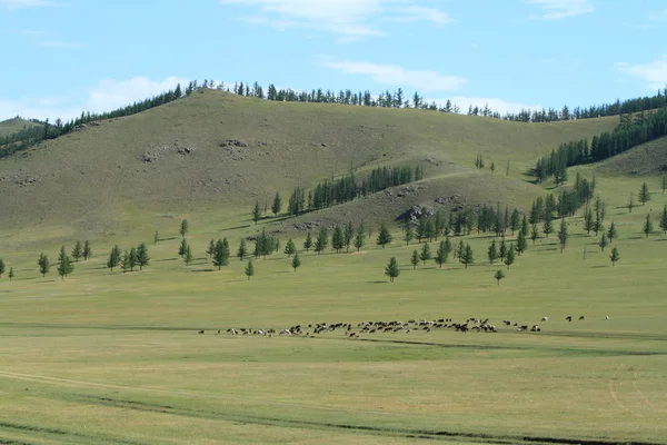 Mongolian Landscapes of Orkhon Valley — Stock Photo, Image