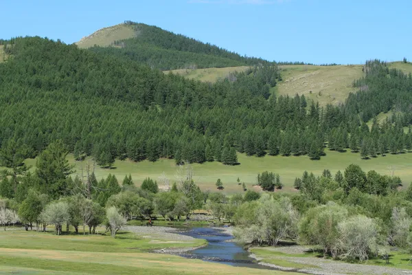 Mongoolse landschappen van Orhon Valley — Stockfoto