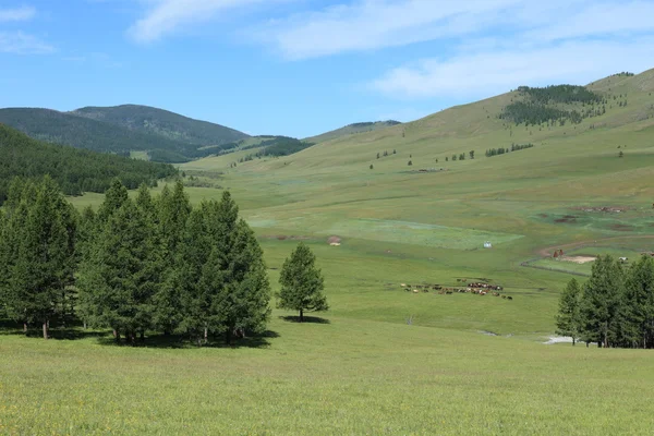 Mongoolse landschap van tsenkher — Stockfoto