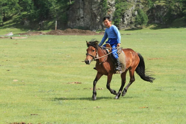 Mongol Equestrian — Stock Photo, Image