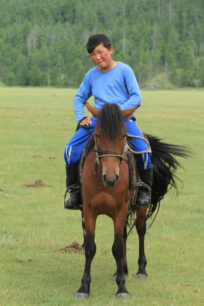 Mongol Equestrian — Stock Photo, Image