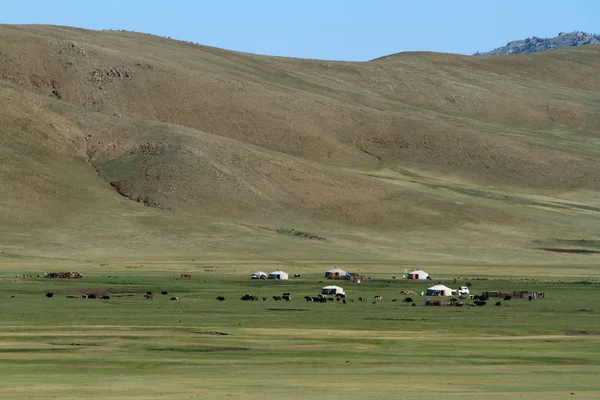 Landschap van khustain nationaal park Mongolië — Stockfoto