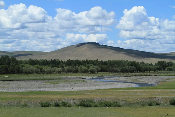 Krajobraz parku narodowego khustain Mongolii — Zdjęcie stockowe