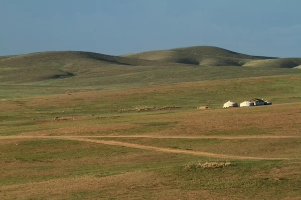 Landskapet i khustain nationalpark Mongoliet — Stockfoto