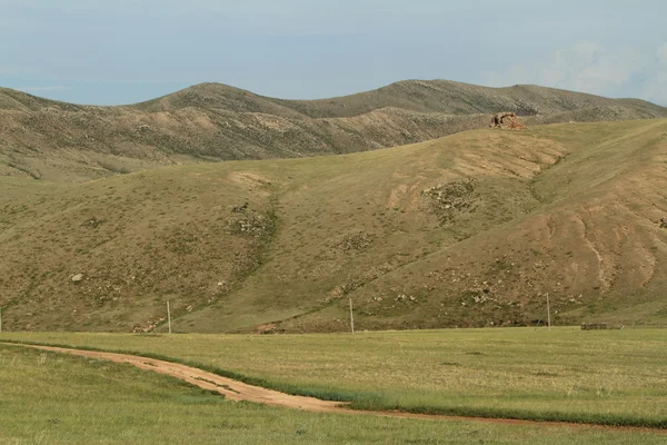 Landschaft des Hustain-Nationalparks in der Mongolei — Stockfoto