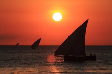 zanzibar deniz günbatımı, yelkenli