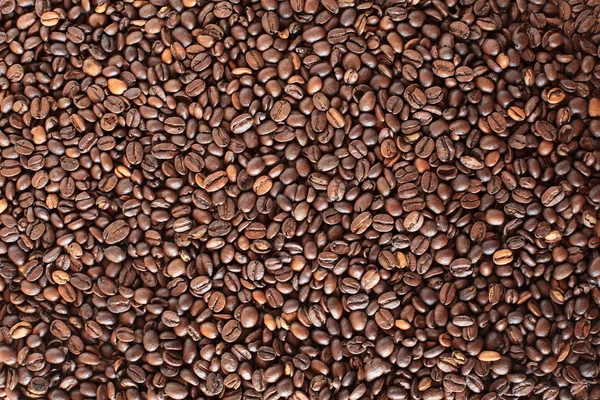 Coffee Beans — Stock Photo, Image