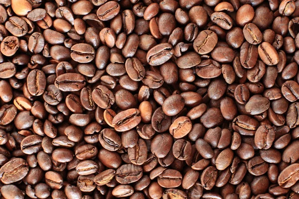 Coffee Beans — Stock Photo, Image