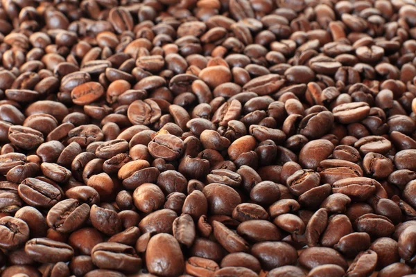 Coffee Beans — Stock Photo, Image