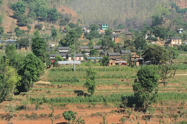 Jordbruk i nepal — Stockfoto