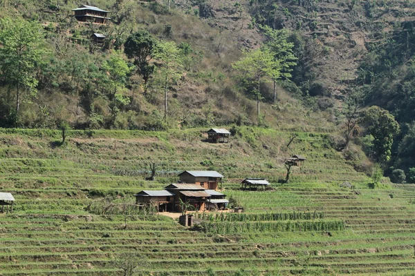 Фермерство в Непале — стоковое фото