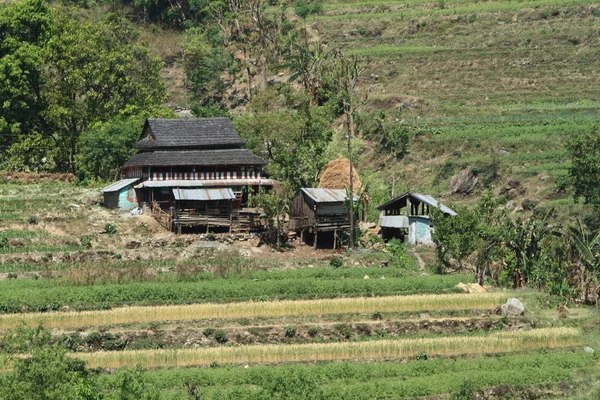 Agricultura en Nepal —  Fotos de Stock