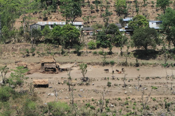 Farming in Nepal — Stock Photo, Image