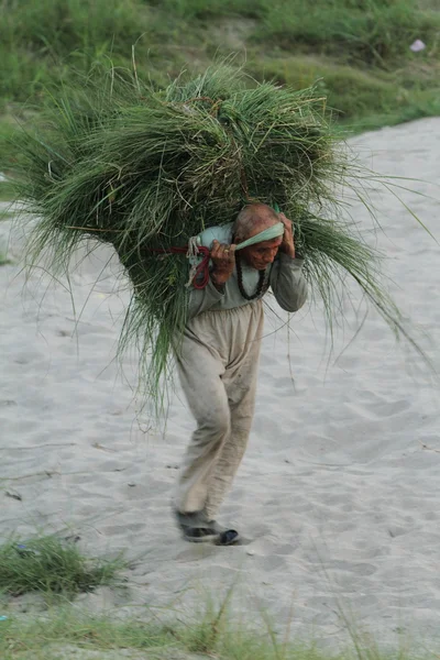 Farmer in India — Stock Photo, Image