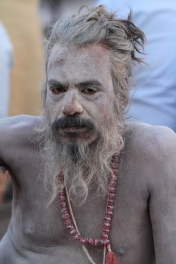 varanasi Hindistan'da kutsal sadhu