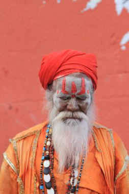 Kutsal sadhu