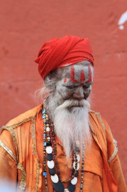Kutsal sadhu