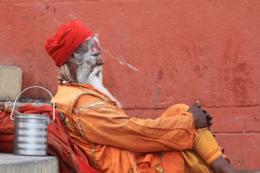 Kutsal sadhu