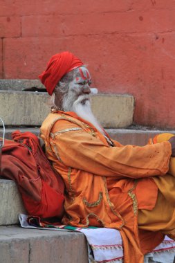 Kutsal sadhu
