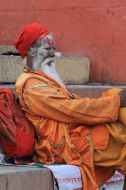 Kutsal sadhu