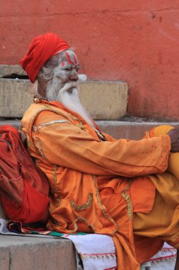Kutsal sadhu