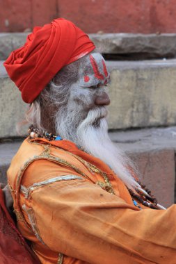 Kutsal sadhu