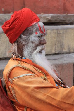 Kutsal sadhu