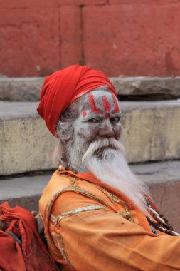 Kutsal sadhu