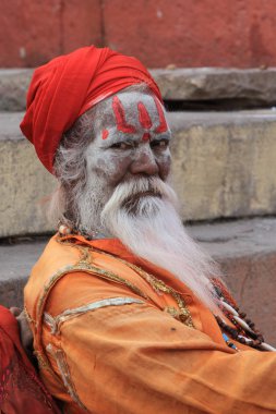 Kutsal sadhu
