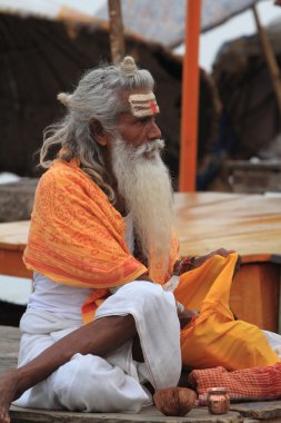 Kutsal sadhu
