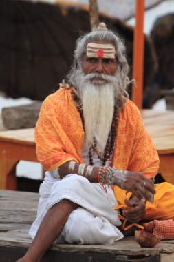 Kutsal sadhu