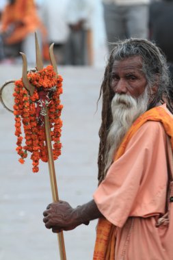 Kutsal sadhu