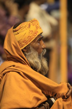 Hindistan'da kutsal sadhu