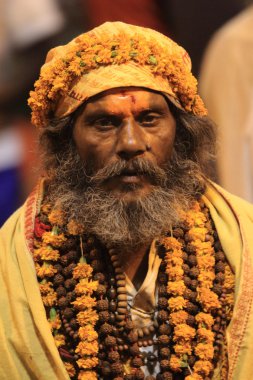 Kutsal sadhu