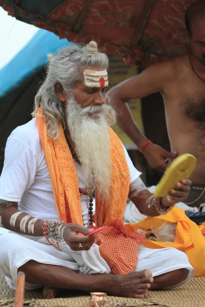 Ιερά sadhu — Φωτογραφία Αρχείου