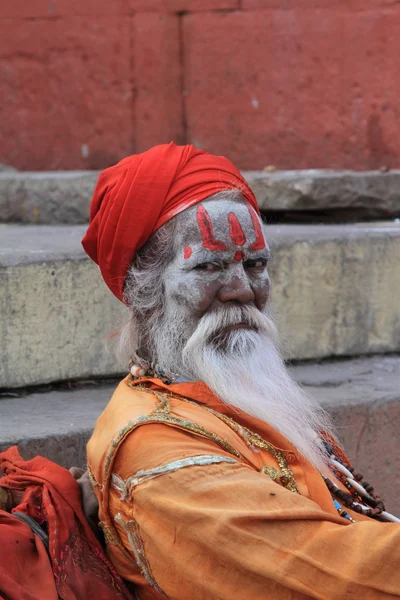 Santo Sadhu. — Foto de Stock