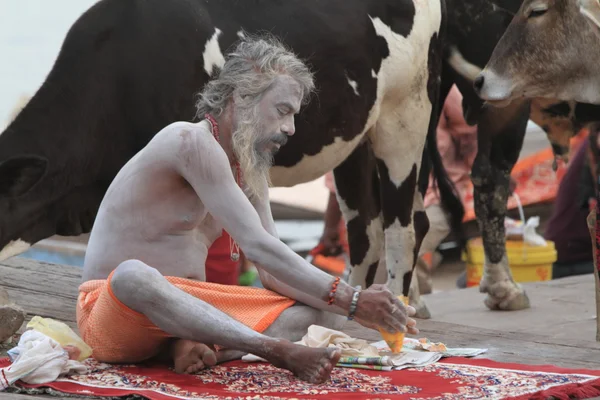 Holy Sadhu — Stock Photo, Image