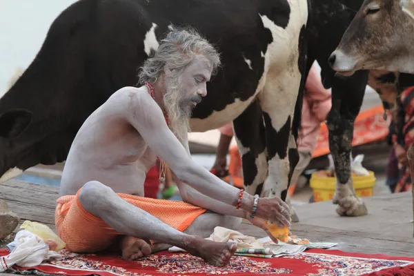 Santo Sadhu. —  Fotos de Stock