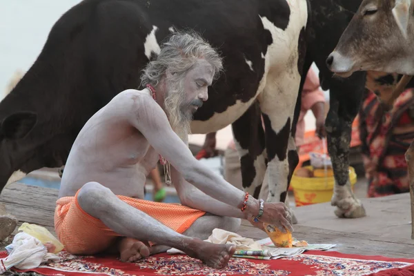 Santo Sadhu. —  Fotos de Stock