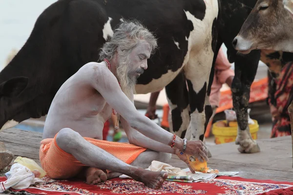 Heilige Sadhu — Stockfoto