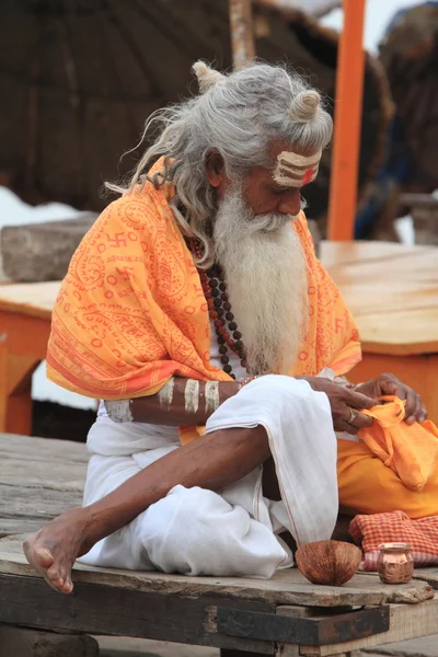 Santo Sadhu. — Fotografia de Stock