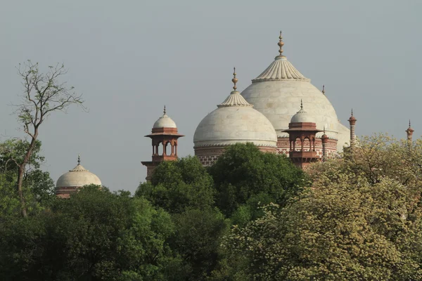 Das taj mahal in indien — Stockfoto