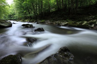 nehir schwarza girdap mesajlar