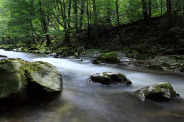 nehir schwarza girdap mesajlar